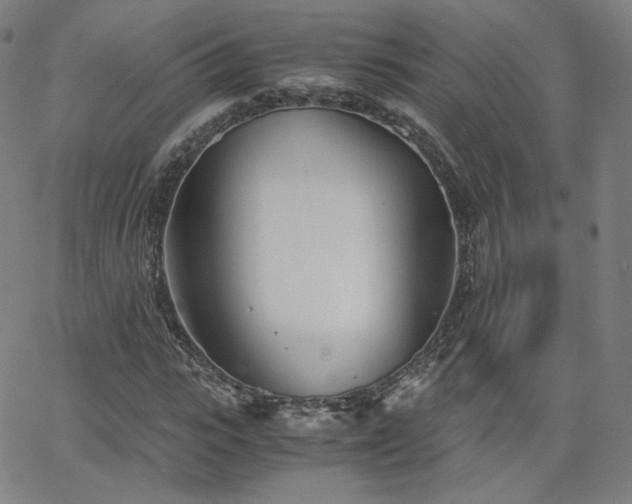 X0000063520919200601201429