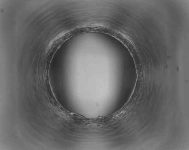 X0000063520920200601201429