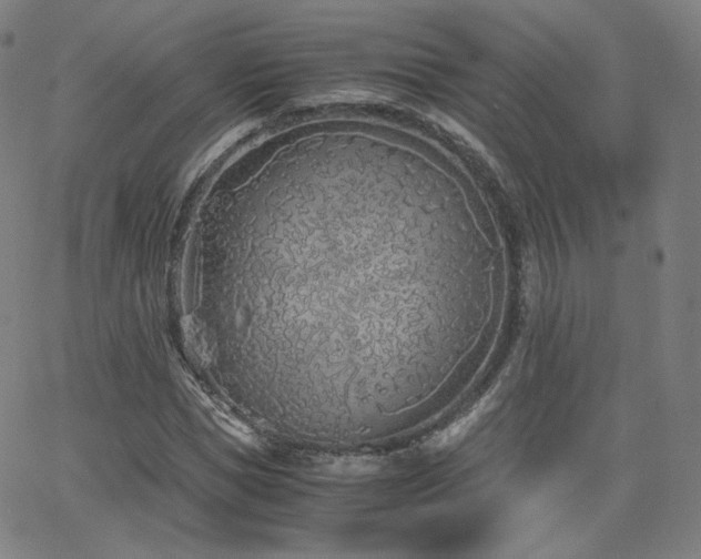 X0000063520921200601201429