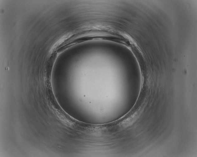 X0000063520922200601201429