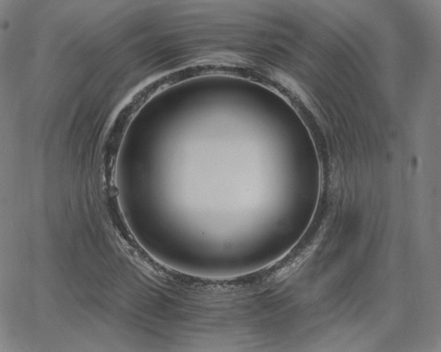 X0000063520923200601201429