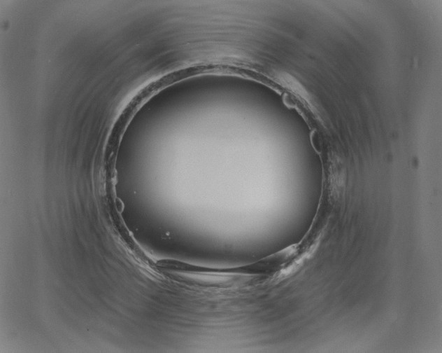 X0000063520924200601201429