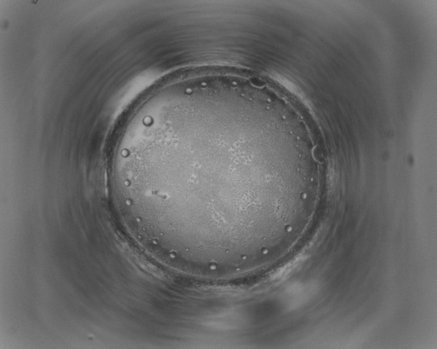 X0000063520925200601201429