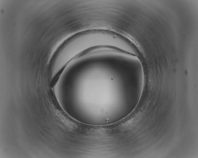 X0000063520926200601201429