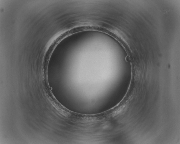 X0000063520927200601201429