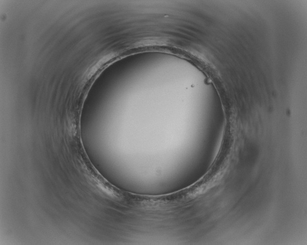 X0000063520929200601201429