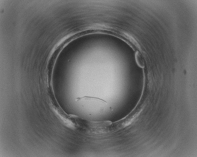 X0000063520931200601201429