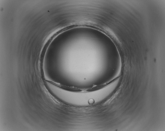 X0000063520932200601201429