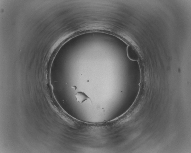 X0000063520933200601201429