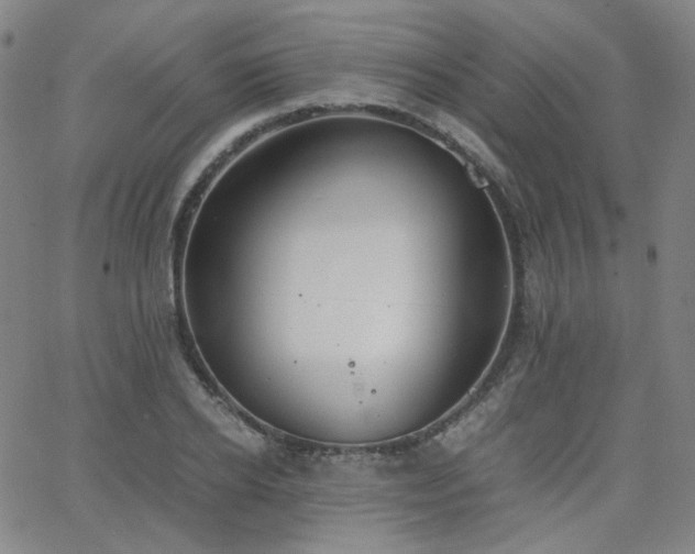 X0000063520934200601201429