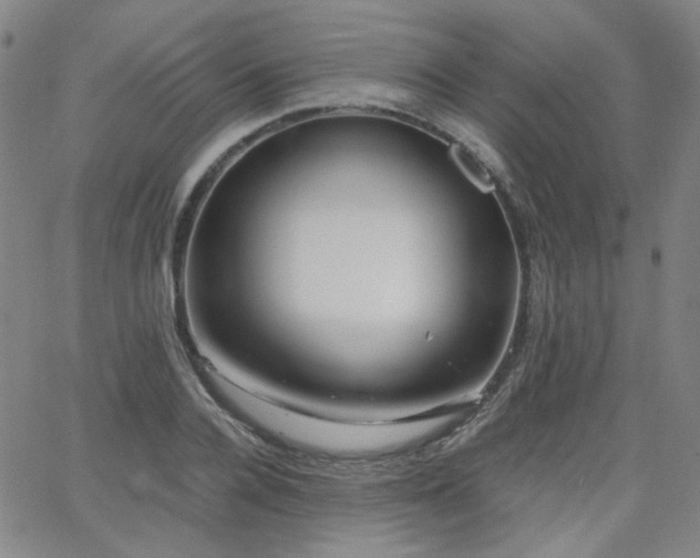 X0000063520936200601201429