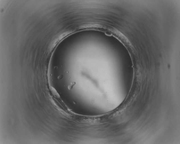 X0000063520937200601201429