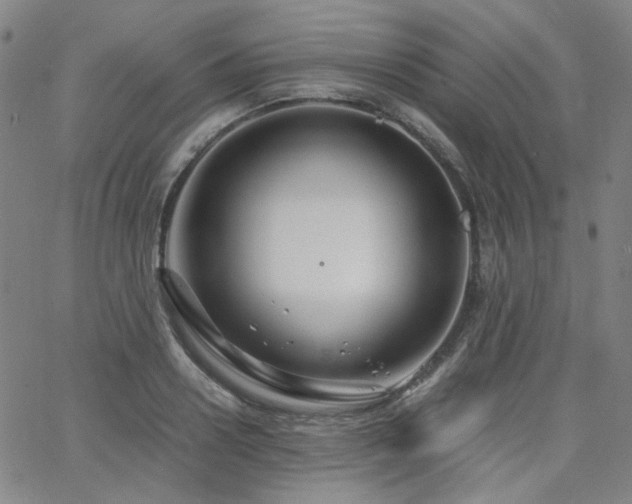 X0000063520938200601201429