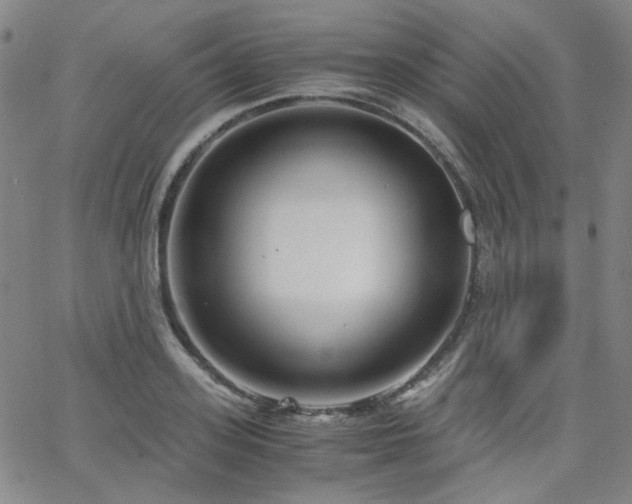 X0000063520939200601201429