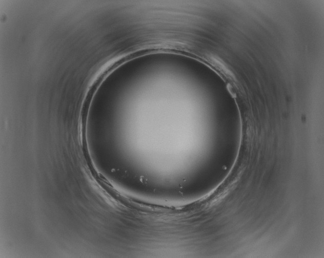 X0000063520940200601201429