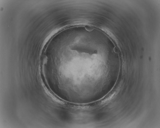 X0000063520941200601201429