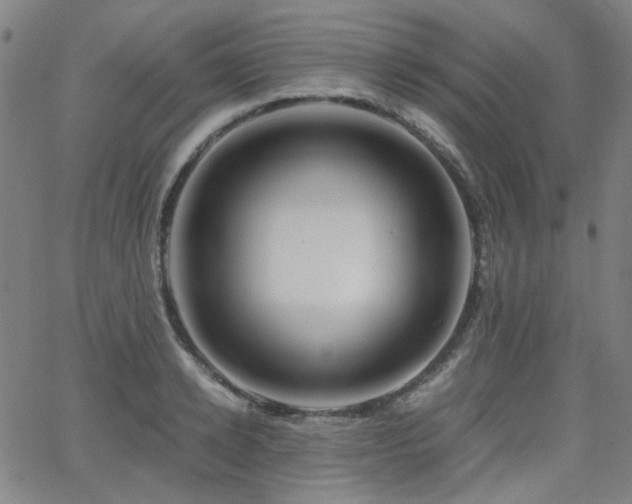 X0000063520942200601201429