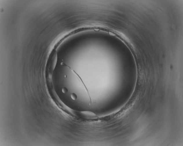 X0000063520943200601201429