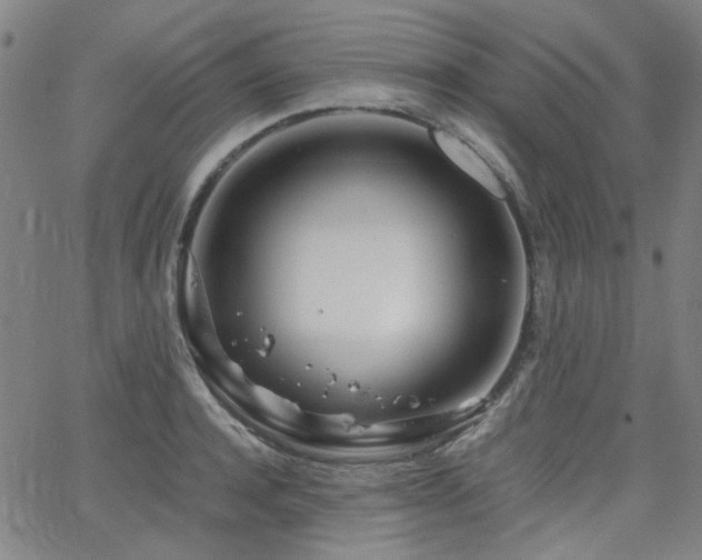 X0000063520944200601201429