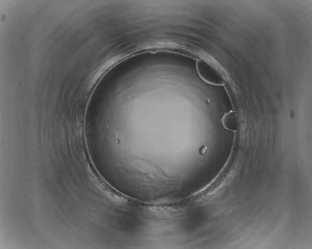 X0000063520945200601201429