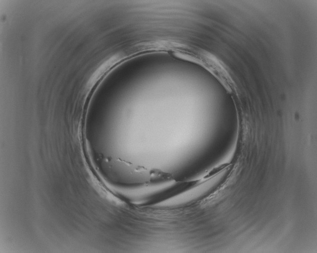 X0000063520946200601201429