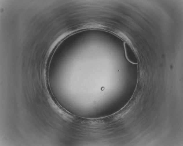 X0000063520947200601201429