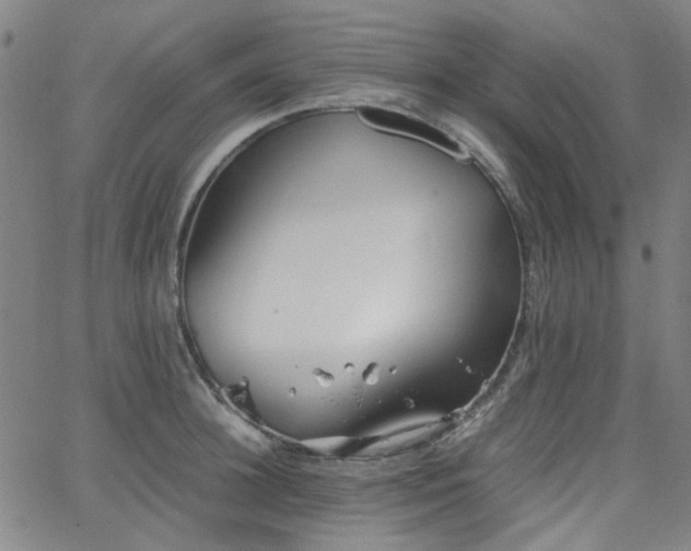 X0000063520948200601201429