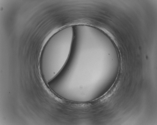 X0000063520949200601201429