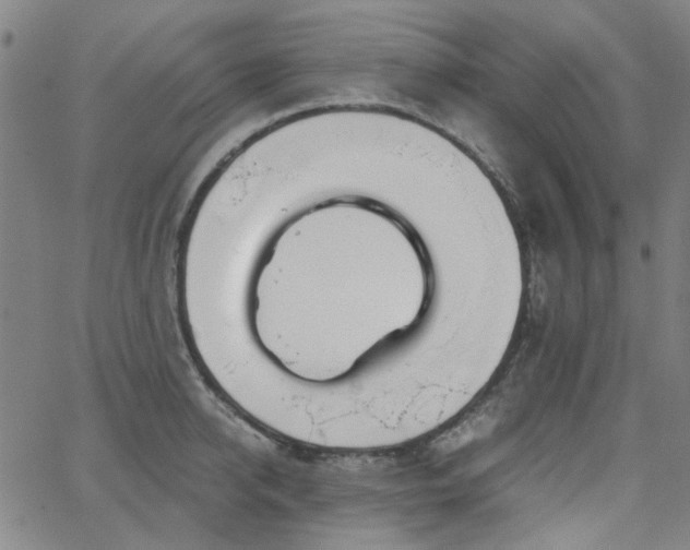 X0000063520950200601201429