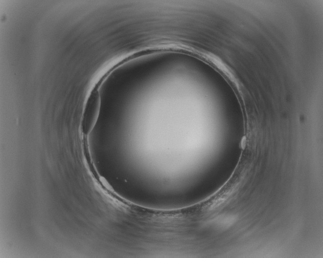 X0000063520951200601201429