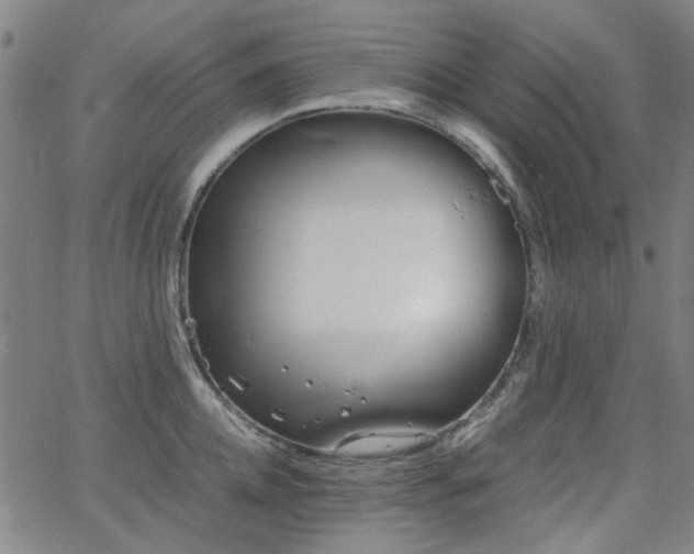 X0000063520952200601201429