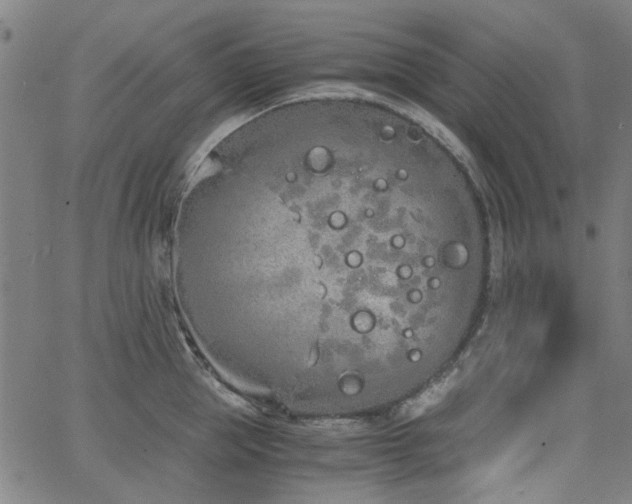 X0000063520953200601201429