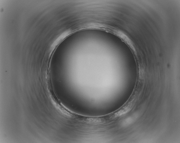 X0000063520954200601201429