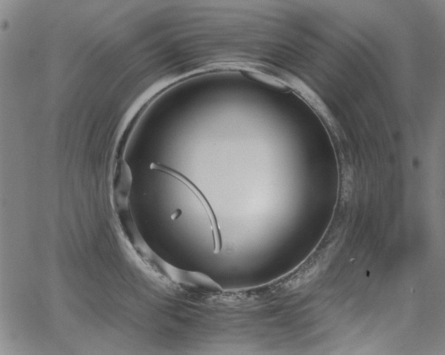 X0000063520955200601201429