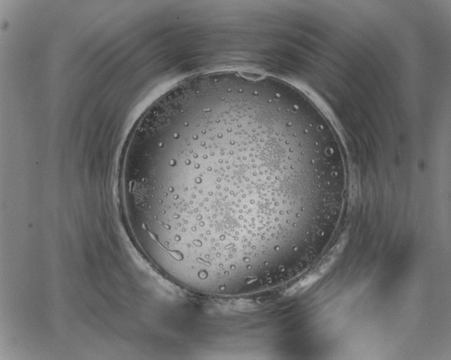 X0000063520957200601201430