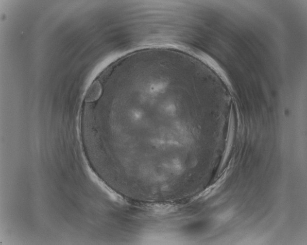 X0000063520958200601201430