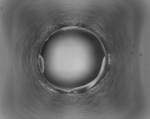 X0000063520961200601201429