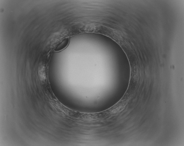 X0000063520962200601201429