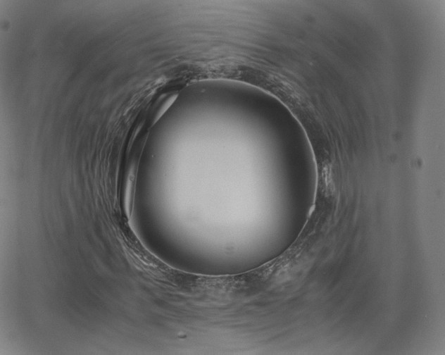 X0000063520963200601201429