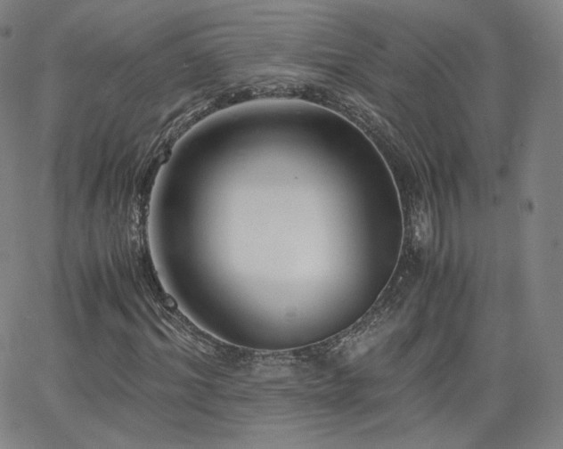 X0000063520964200601201429