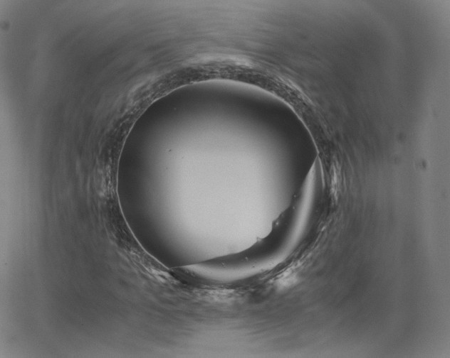 X0000063520965200601201429