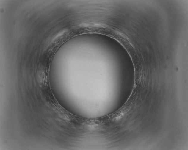 X0000063520966200601201429