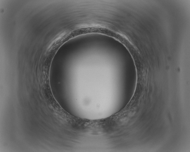 X0000063520967200601201429