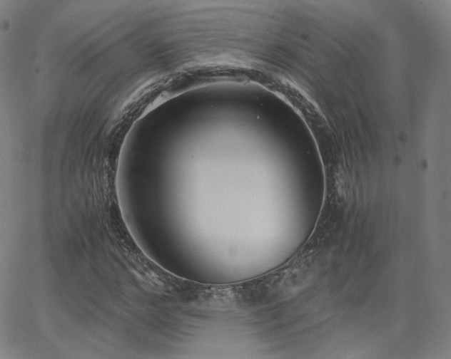 X0000063520968200601201429