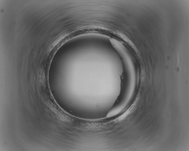 X0000063520969200601201429