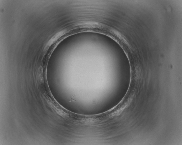 X0000063520970200601201429