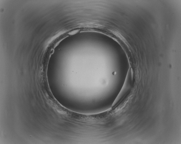 X0000063520971200601201429