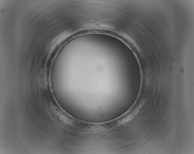 X0000063520974200601201429