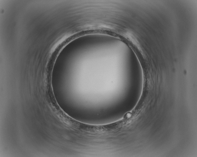 X0000063520975200601201429