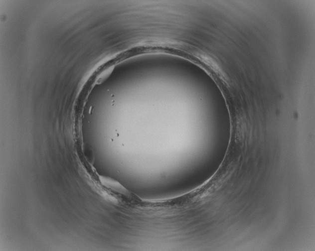 X0000063520976200601201429